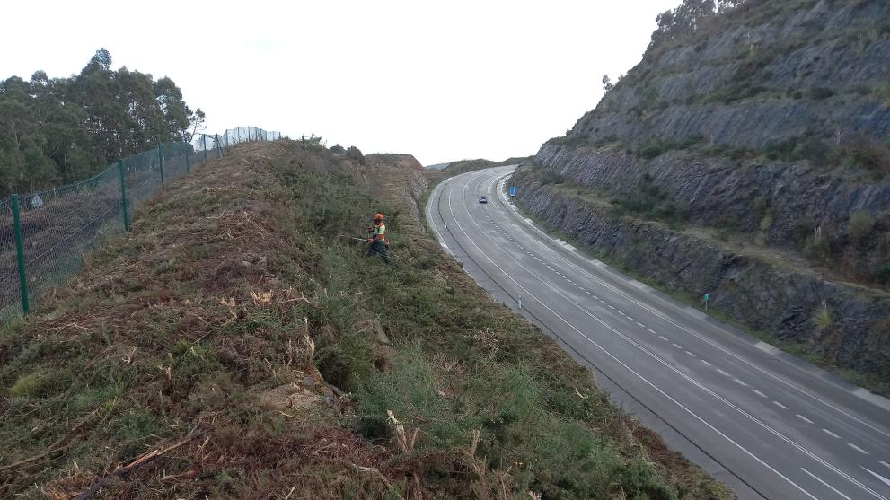 Imaxe 2 de 4 asociada á nova