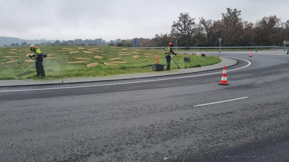 Imaxe 4 de 4 asociada á nova