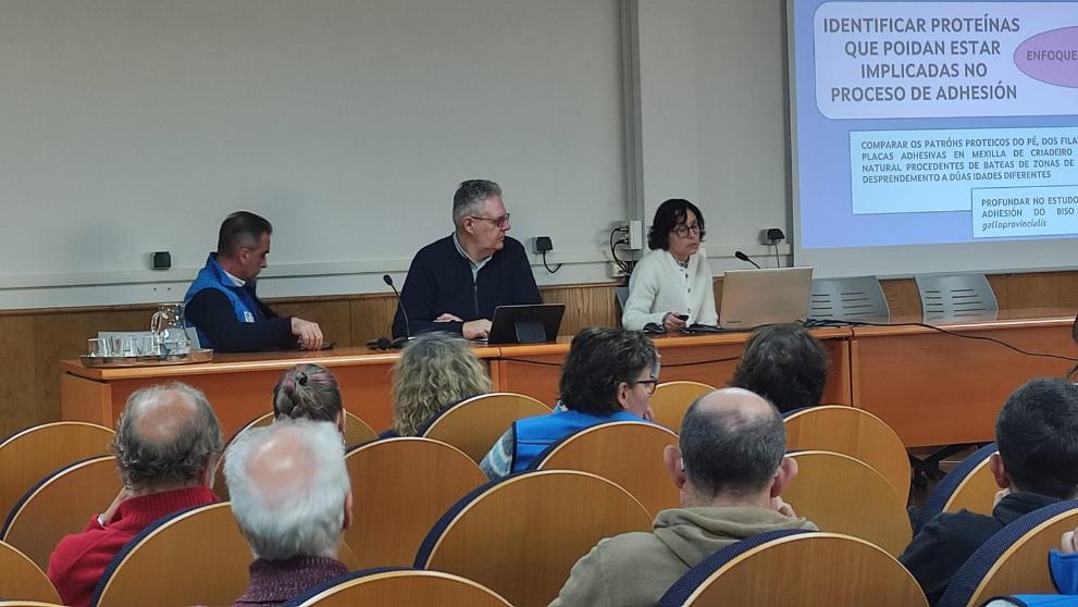 Imaxe 3 de 3 asociada á nova