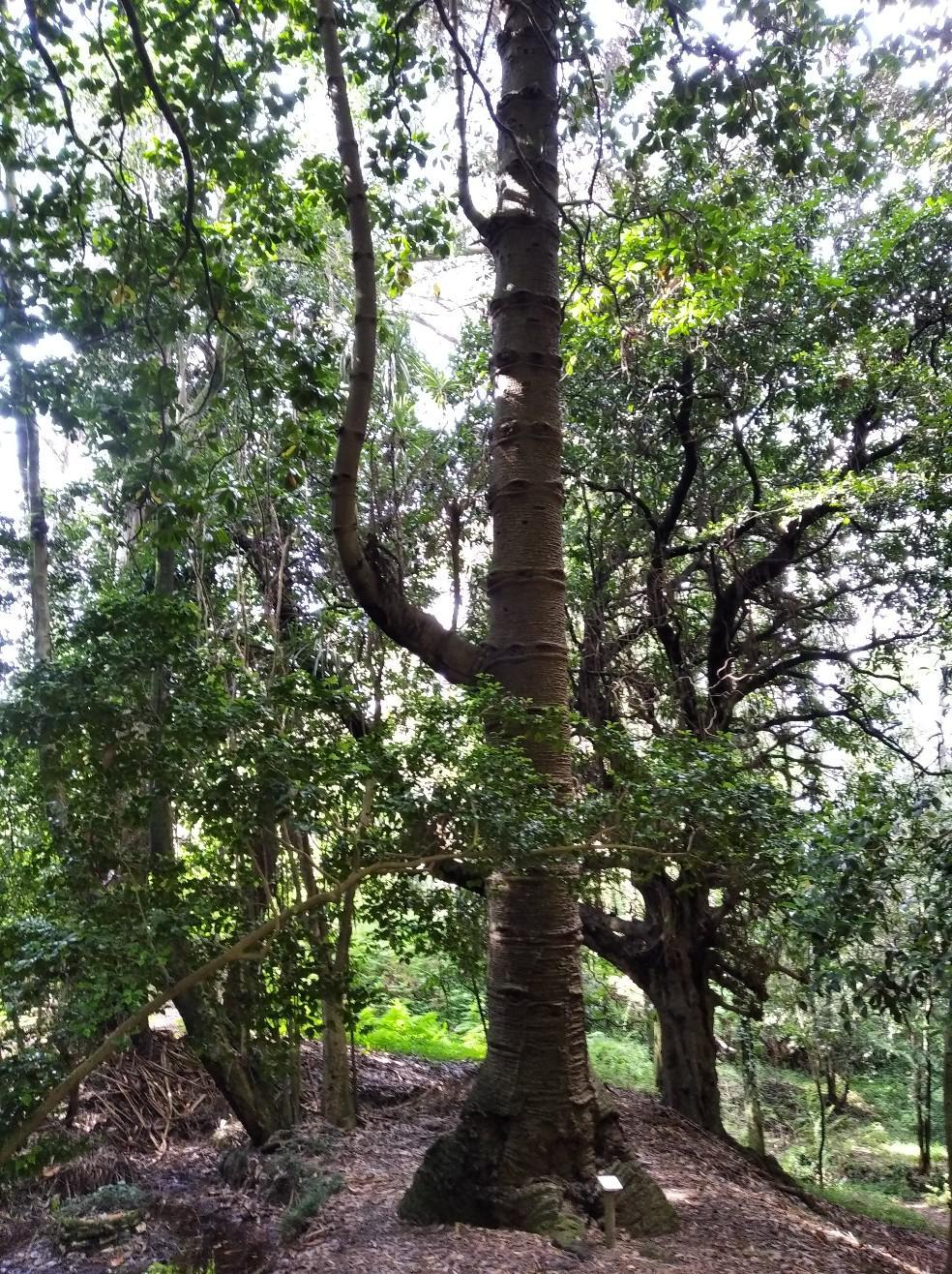 Imaxe 4 de 4 asociada á nova