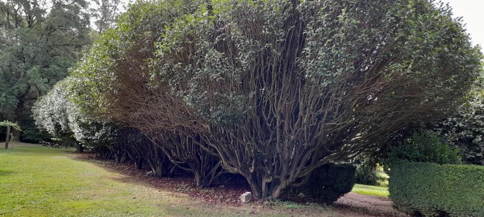 Imaxe 1 de 4 asociada á nova