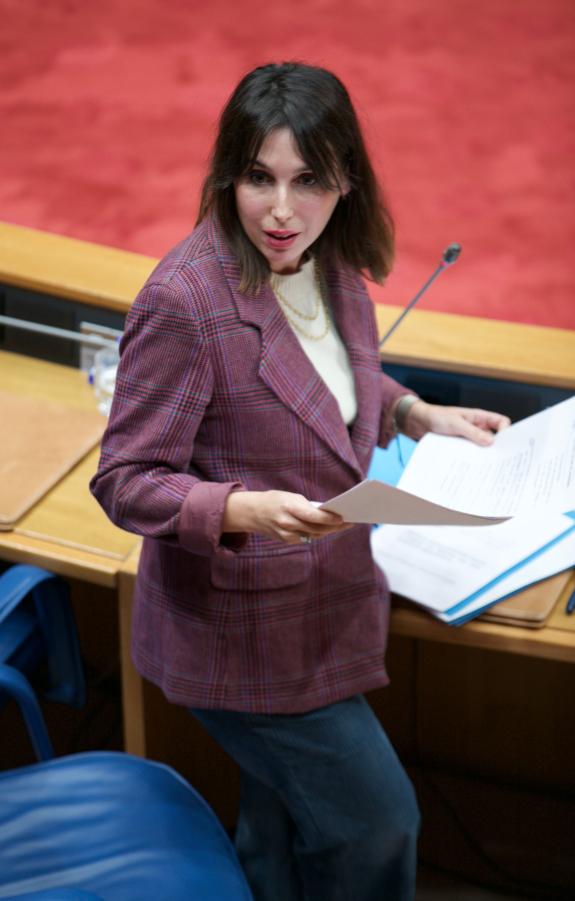 Imagen de la noticia:Lorenzana considera insuficientes las ayudas anunciadas por el Gobierno para la industria electrointensiva y vuelve a reclam...