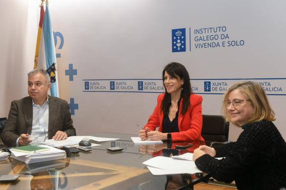 Imaxe da nova:M. Allegue preside a sesión do Consello Reitor do Instituto Galego da Vivenda e Solo