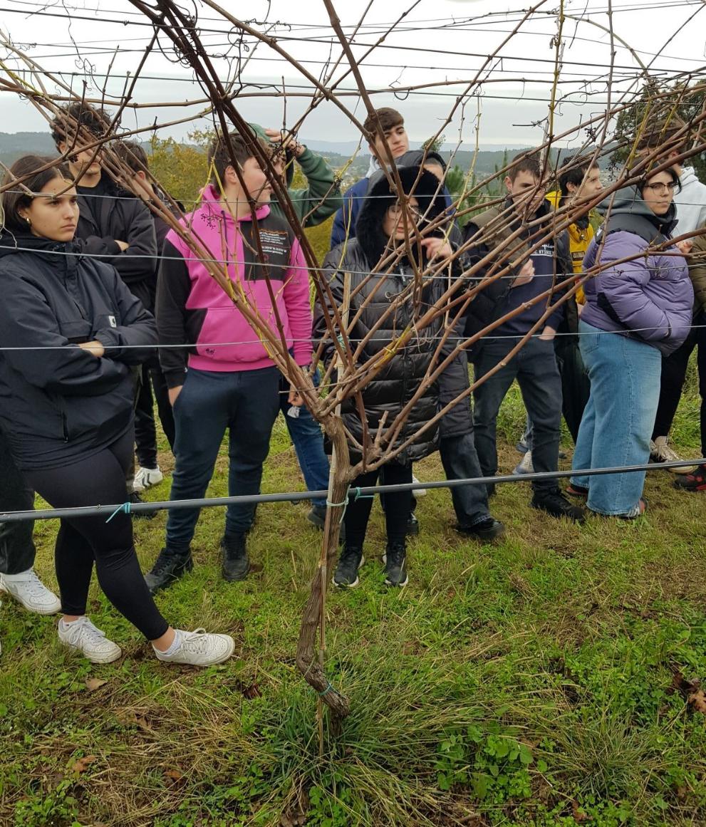 Imaxe 3 de 3 asociada á nova