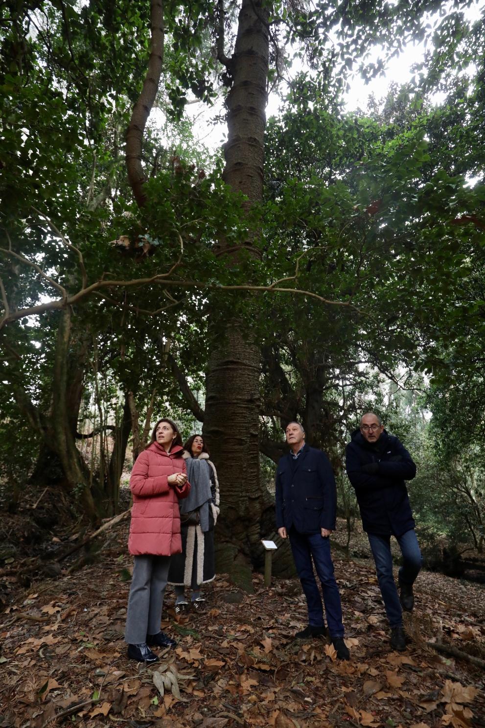 Imaxe 5 de 6 asociada á nova