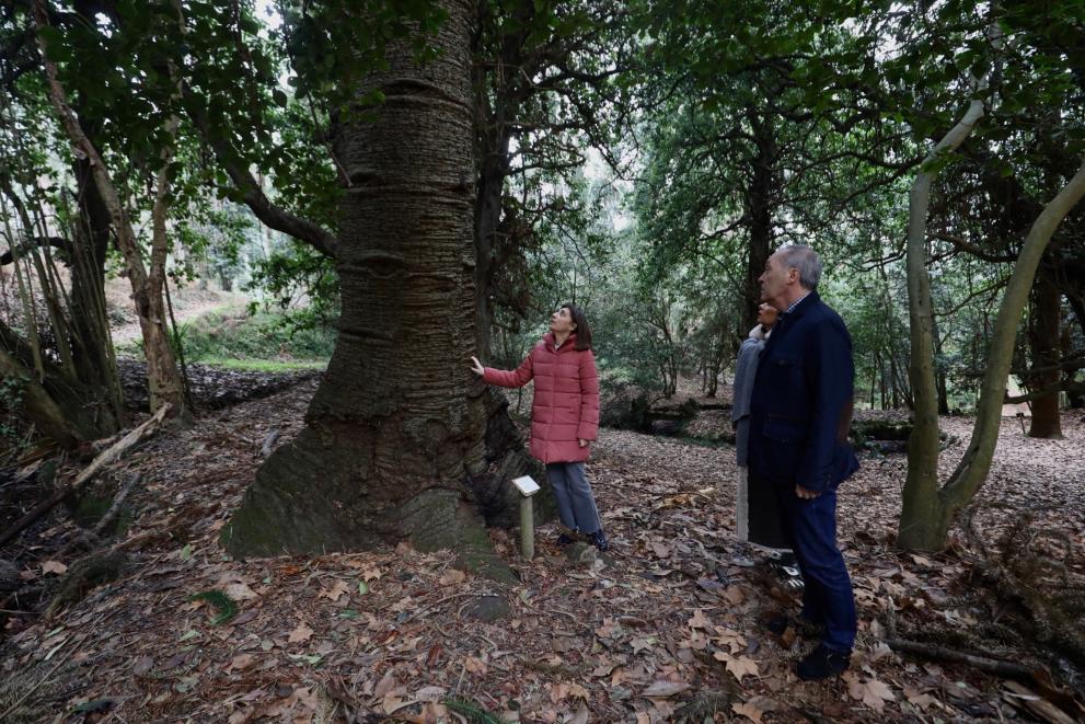 Imaxe 6 de 6 asociada á nova