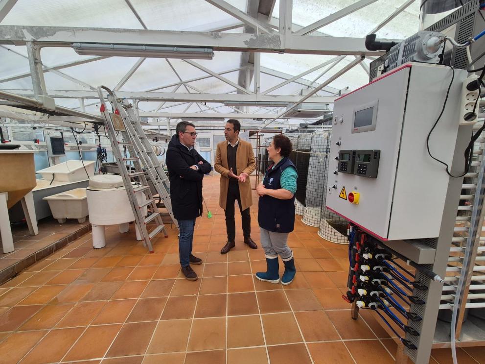 Imaxe 2 de 2 asociada á nova