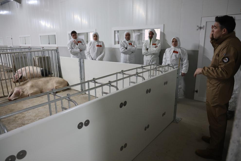 Imaxe 2 de 3 asociada á nova