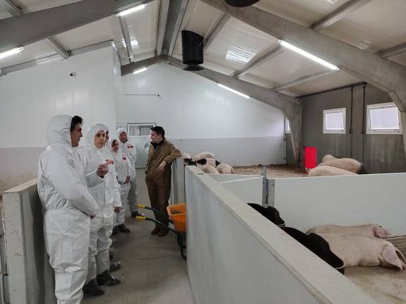 Imaxe da nova:A conselleira do Medio Rural destaca a riqueza e o dinamismo do noso agro na visita á maior granxa de porco celta de Galicia no con...