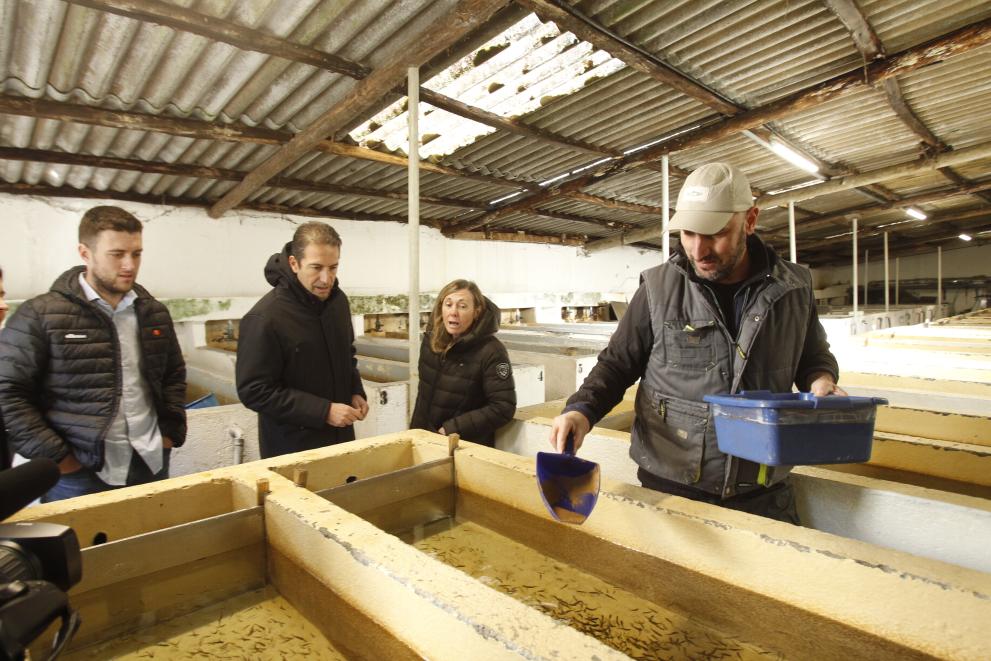 Imaxe 1 de 2 asociada á nova