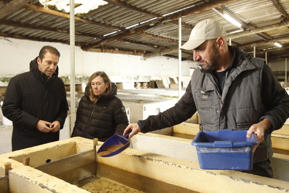 Imaxe 2 de 2 asociada á nova