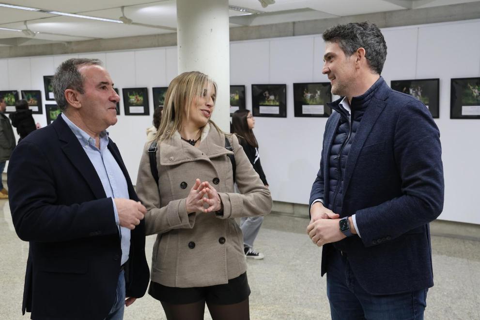 Imaxe 4 de 4 asociada á nova
