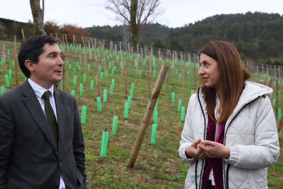 Imaxe 2 de 4 asociada á nova