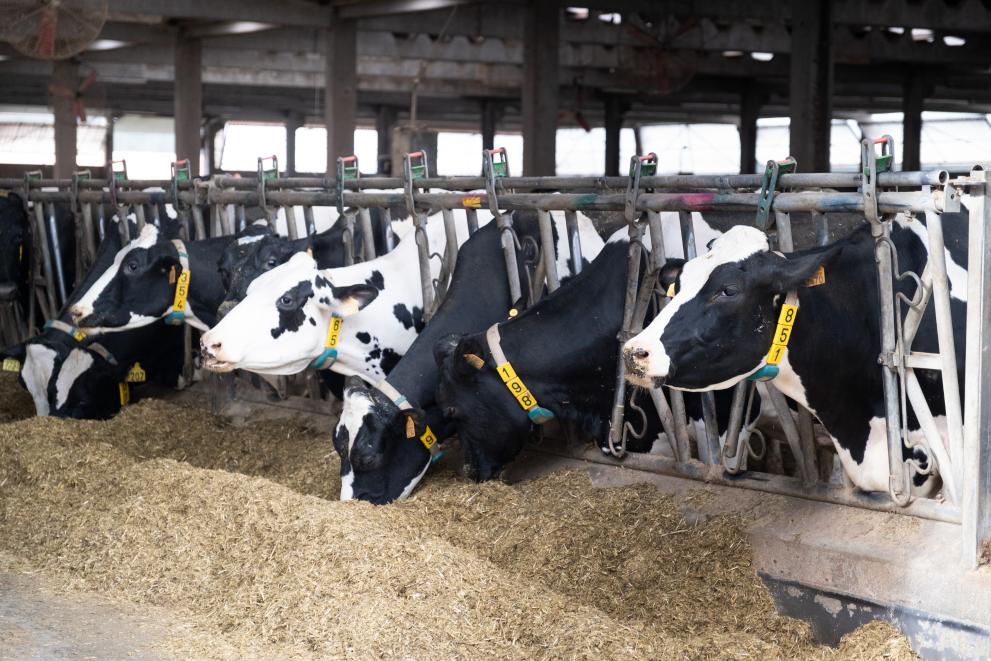 Imaxe 1 de 1 asociada á nova