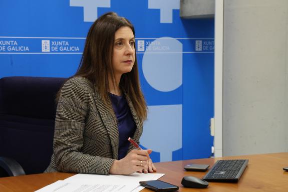 Imaxe da nova:A conselleira do Medio Rural participa por videoconferencia no Consello Consultivo de Política Agrícola para Asuntos Comunitarios