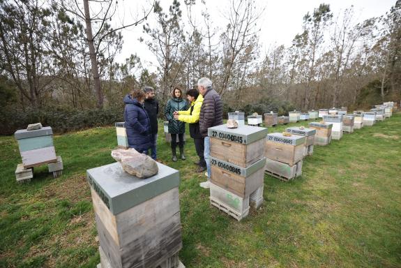 Imagen de la noticia:María José Gómez enxalza o sector apícola pola súa contribución á protección da biodiversidade