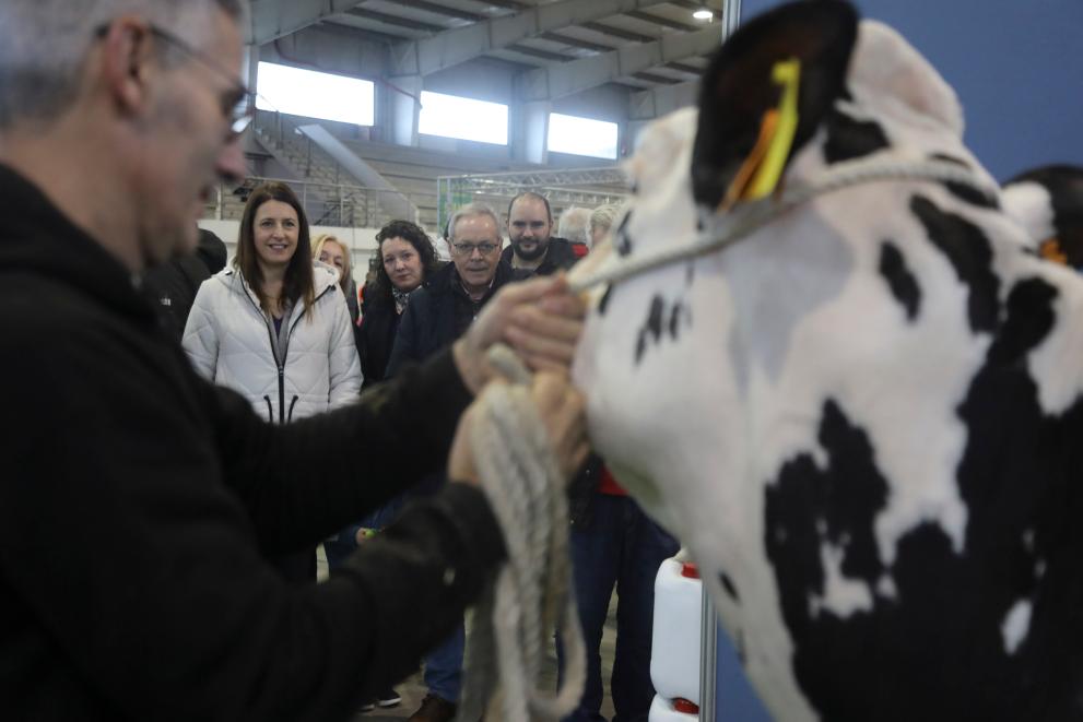 Imaxe 2 de 2 asociada á nova