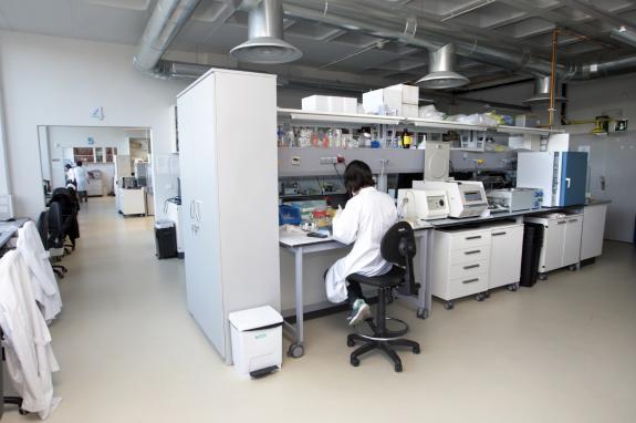 Imaxe da nova:A Xunta convoca o programa Investigo 2025 con case 5 M€ ao abeiro da Estratexia Mocidade Activa para reter o talento de ata 215 per...