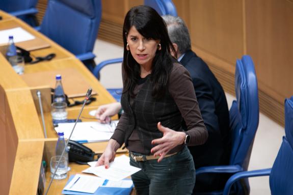 Imaxe da nova:A conselleira María M. Allegue solicita no Parlamento que se faga efectiva a anunciada bonificación para a AP-53