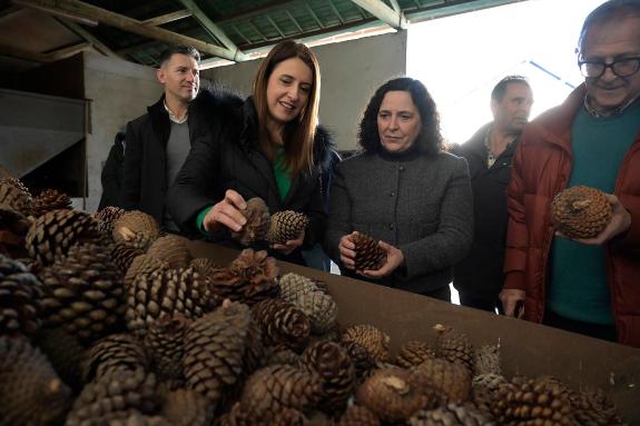 Imaxe da nova:Medio Rural destaca o papel do Centro de Sementes Forestais de Galicia no fomento da forestación
