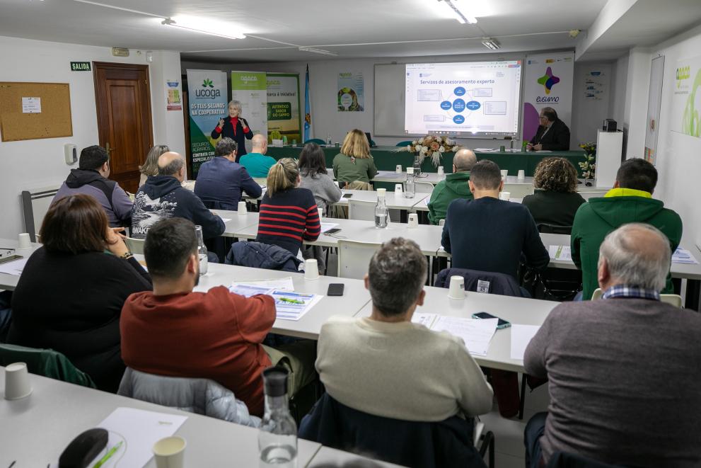 Imaxe 1 de 2 asociada á nova