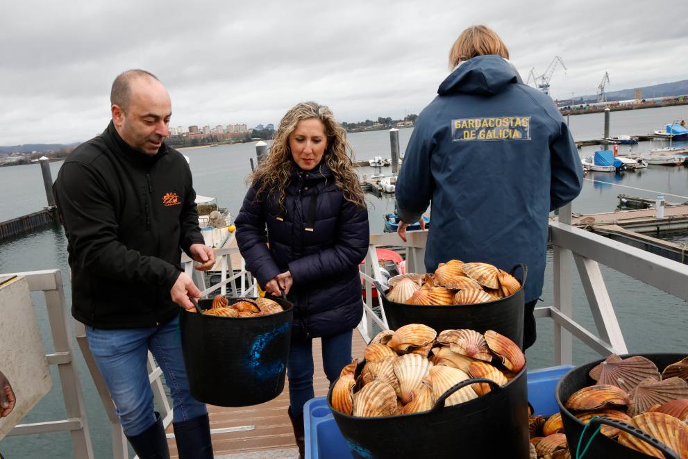 Imaxe 1 de 3 asociada á nova