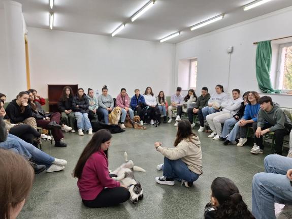 Imaxe da nova:Alumnos do Centro de Formación e Experimentación Agraria de Sergude amplían coñecementos sobre o coidado de animais