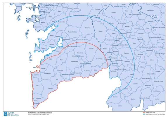 Imaxe da nova:A Xunta actualiza a zona demarcada do nematodo do piñeiro das Neves e a aplicación de medidas de contención en áreas de Pontevedra ...