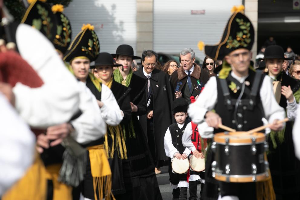 Imaxe 14 de 15 asociada á nova