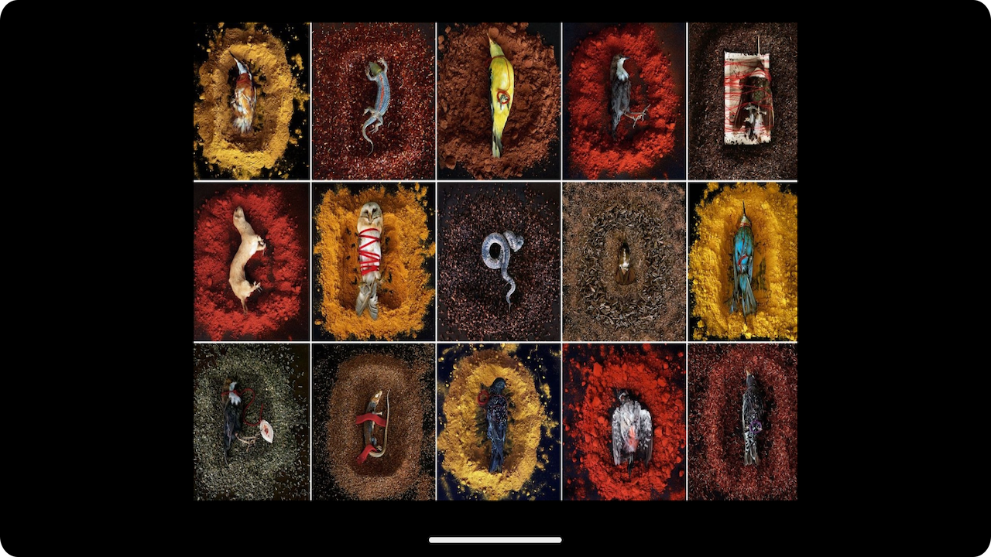 Imaxe asociada a Museo de Belas Artes da Coruña: 5