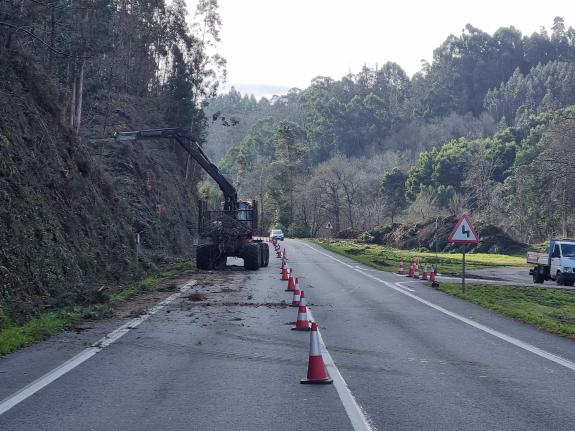 Imaxe da nova:A Xunta iniciará a vindeira semana os traballos de limpeza nas marxes da estrada autonómica OU-104 no concello de Mazeda