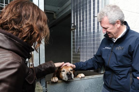 Imagen de la noticia:Rueda pone en valor el refuerzo de la Xunta a la atención de los animales abandonados triplicando el apoyo a protectoras, ay...