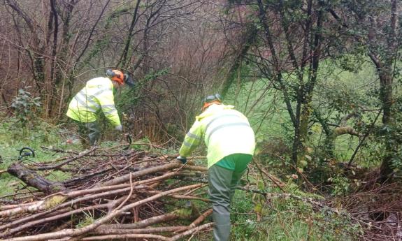 Imagen de la noticia:A Xunta realiza labores de conservación en varios ríos, nos concellos de Baiona e Gondomar, que suman 5,3 km