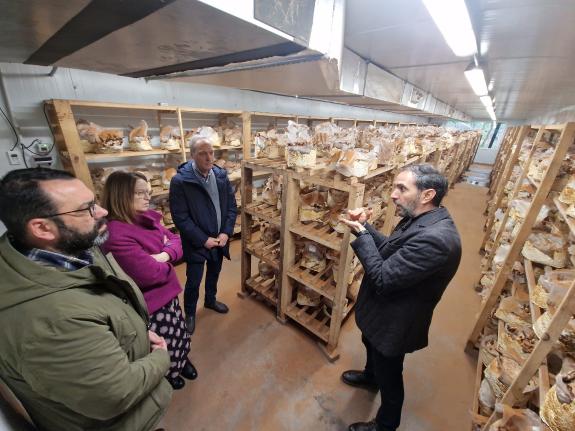 Imagen de la noticia:A Xunta sitúa a Hifas da Terra, en Pontevedra, como un exemplo de peme innovadora pola súa aposta pola internacionalización ...