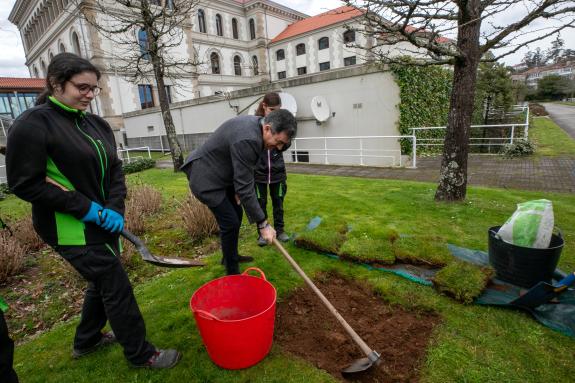 Imaxe da nova:Alumnos do Instituto Plurilingüe de Valga plantan unha camelia nos xardíns da Xunta en San Caetano