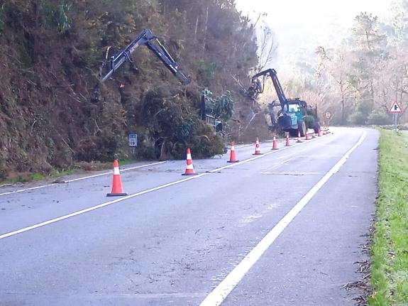 Imaxe da nova:A Xunta continuará este luns os traballos de limpeza e roza nas marxes de nove estradas autonómicas ao seu paso por dez municipios ...