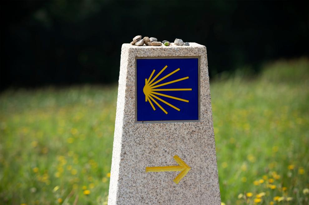 Imagen 1 de 1 asociada a la noticia