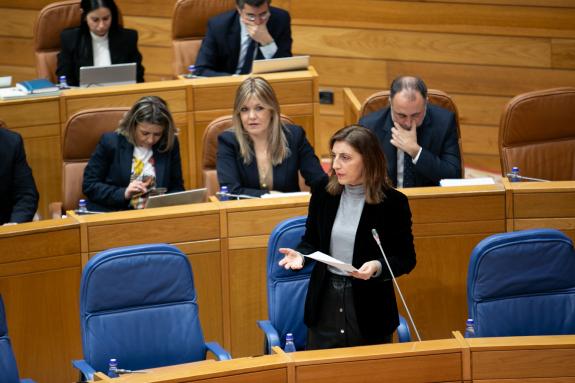 Imaxe da nova:Ángeles Vázquez lamenta que a cidadanía da Coruña pague as consecuencias da mala xestión de residuos do Goberno municipal