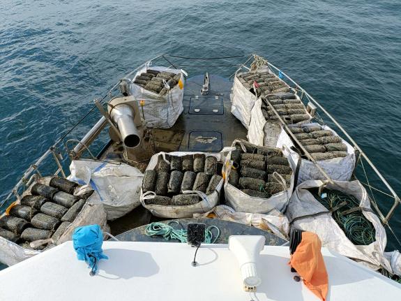 Imagen de la noticia:Gardacostas decomisa 500 cacharos de pulpo al oeste de las Islas Orelludas con 42 kilos de esta especie