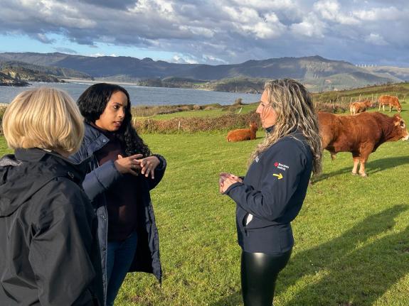 Imaxe da nova:A Xunta concede 250.000 euros en axudas para o establecemento de persoas agricultoras menores de 40 anos en varios municipios do Or...