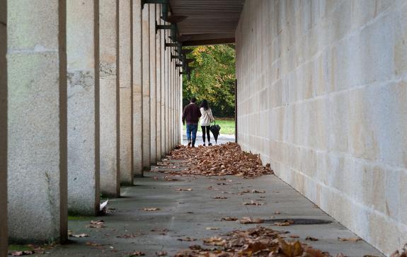 Imaxe da nova:A Xunta actualiza o regulamento do Rexistro de Parellas de Feito para facilitar a tramitación e adaptala ás novas tecnoloxías e nor...