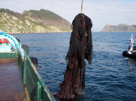 Imaxe da nova:O proxecto Free LitterAT, coordinado polo Cetmar,  reúne nun kit de ferramentas en liña os recursos de 25 proxectos europeos para p...