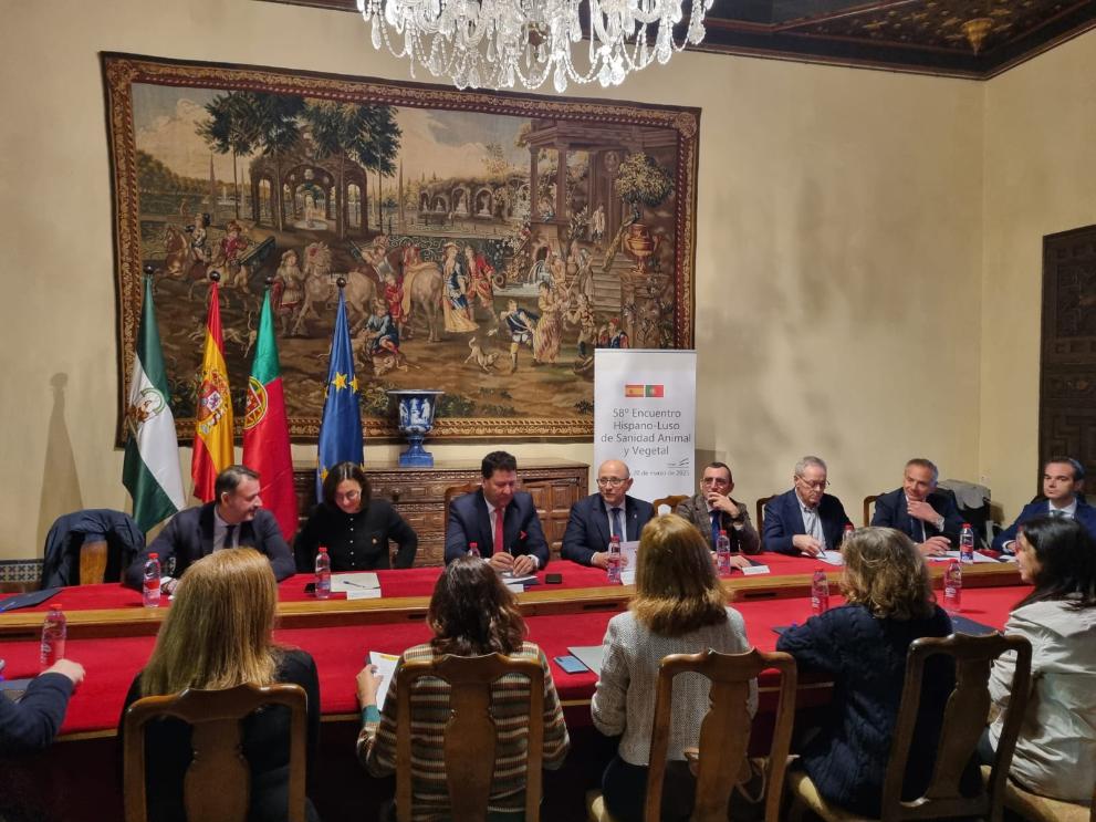 Imaxe 2 de 2 asociada á nova