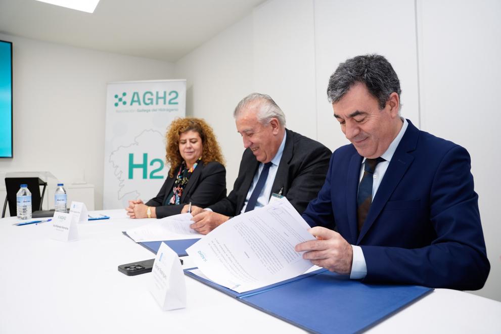 Imaxe 5 de 5 asociada á nova