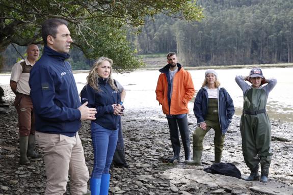 Imaxe da nova:A Xunta financia unha sementeira de 50 mil unidades de ameixa xaponesa en Cedeira ao abeiro das axudas autonómicas de rexeneración ...