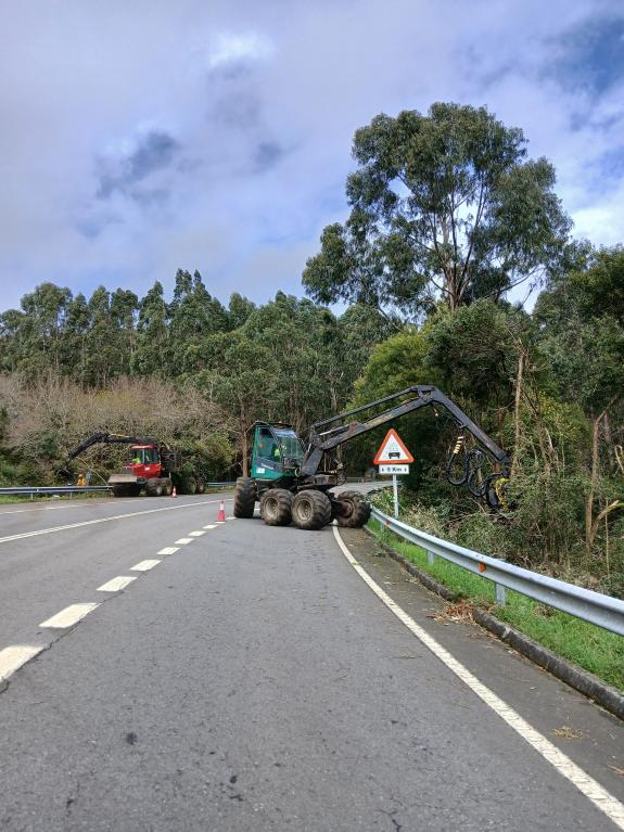 Imagen de la noticia:La Xunta iniciará esta próxima semana los trabajos de limpieza en las márgenes de la carretera autonómica LU-616 a su paso p...