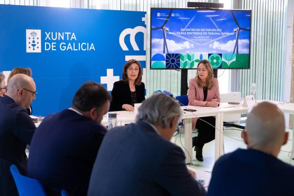 Imagen de la noticia:Ángeles Vázquez espera que se ponga fin a la parálisis judicial de proyectos eólicos en Galicia tras los fallos del Supremo ...