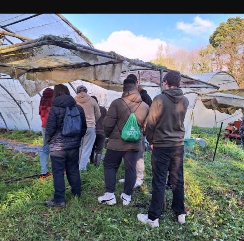 Imaxe da nova:Alumnado do CFEA Pedro Murias de Ribadeo amplía coñecementos con visitas a explotacións ecolóxicas e de agricultura sintrópica