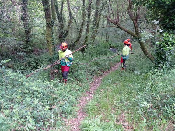 Imaxe da nova:A Xunta realiza labores de conservación en máis de 3,1 km de varios regos no concello de Catoira