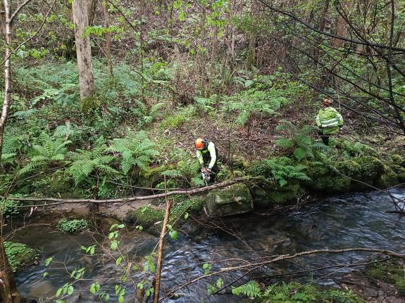 Imaxe da nova:A Xunta realiza labores de conservación nun tramo de 7,2 quilómetros do río Regueira, no concello de Xove